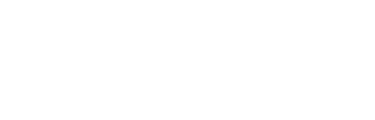 White insulthane logo.